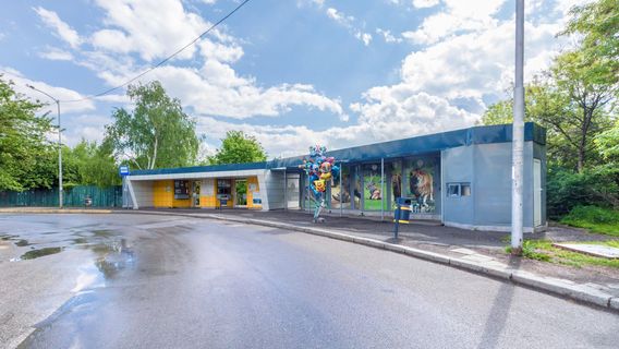 Sofia