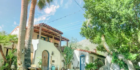 摩登熱帶植物園