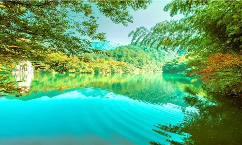 Hibiscus Valley