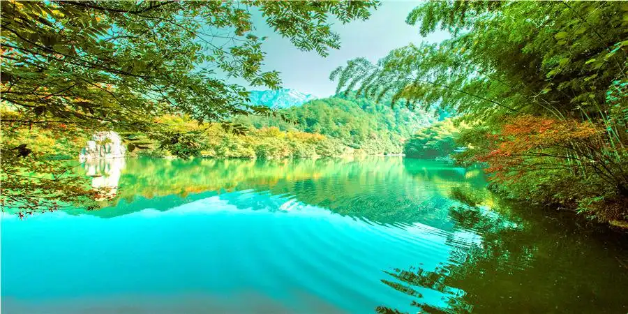 Hotels near Hibiscus Valley