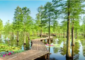 Chishan Lake National Wetland Park