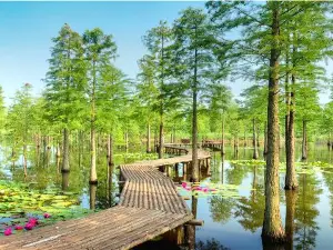 Chishan Lake National Wetland Park