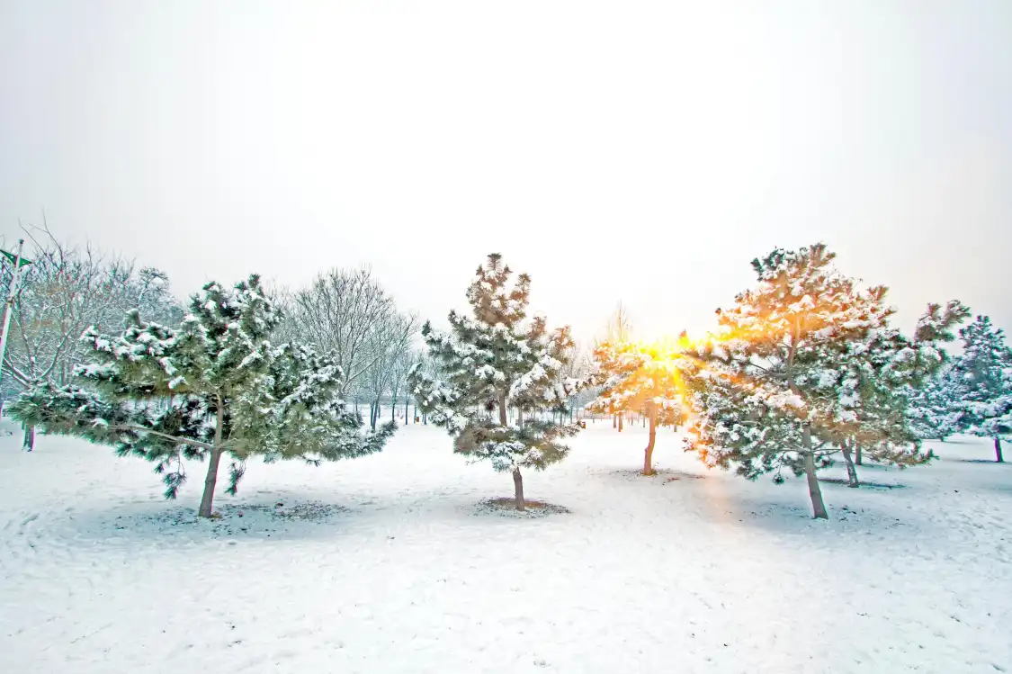 Hotels near Xingtai Forest Park