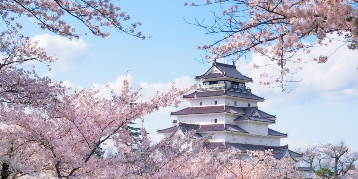 黑川城
