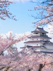 Castillo de Aizuwakamatsu