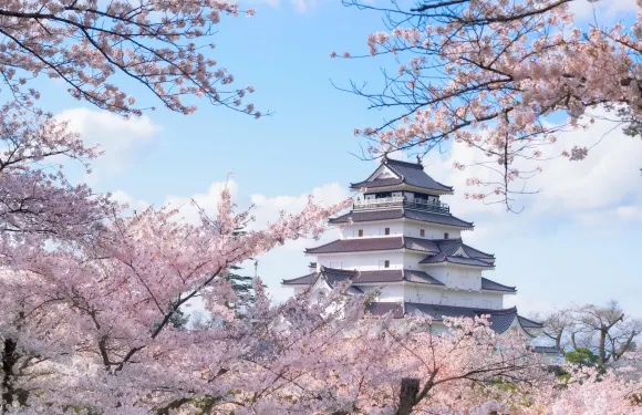黑川城門票+Linge Tea Room小童