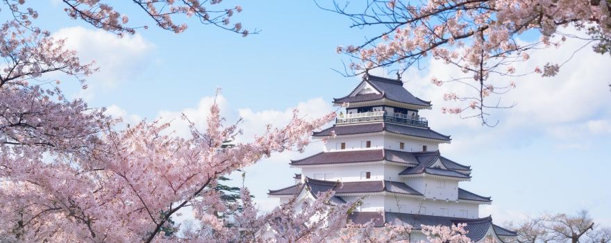 Tsuruga Castle