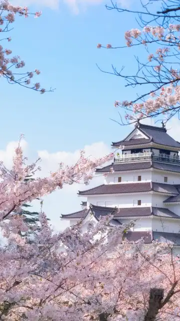 鄰近黑川城的酒店