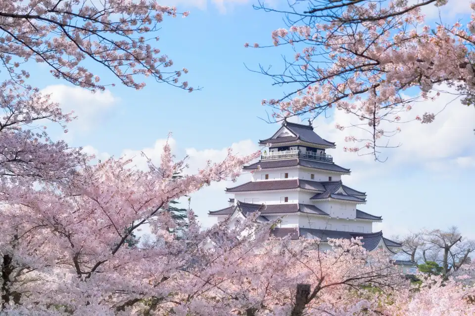 1_Tsuruga Castle
