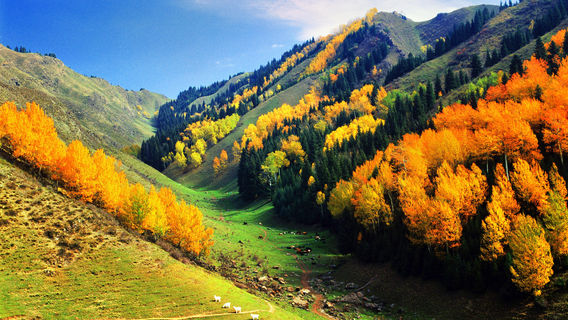 Baiyanggou Scenic Spot