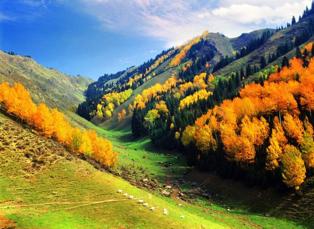 Baiyanggou Scenic Spot