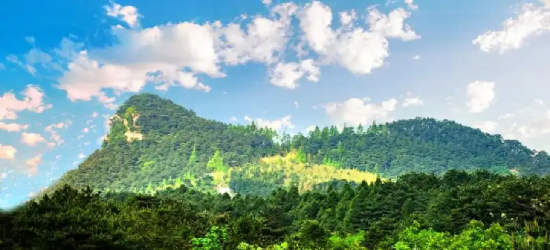 Thank You Inn Properties in Macheng