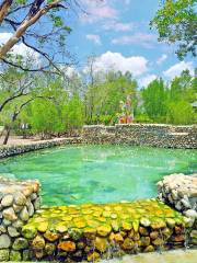 Jinyan International Hot Springs