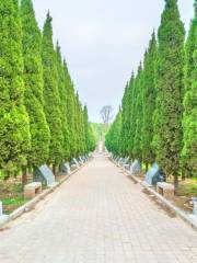 Imperial Tomb of Later Zhou Dynasty