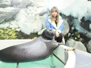 Nerpinary水族館