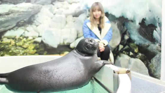 Nerpinary水族館