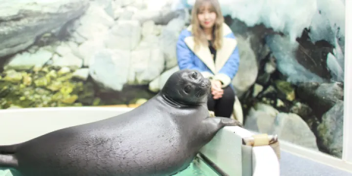Nerpinary水族館