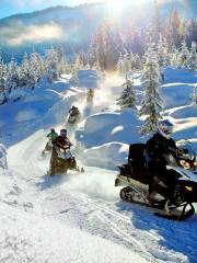 Blackcomb Snowmobile