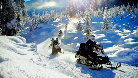 Blackcomb Snowmobile