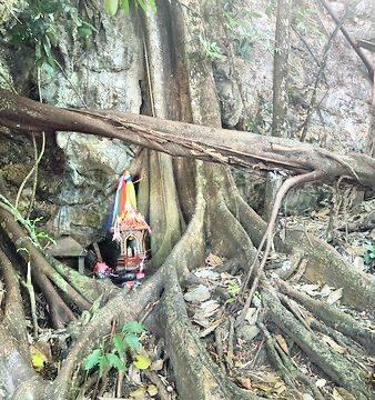 Monkey Trail