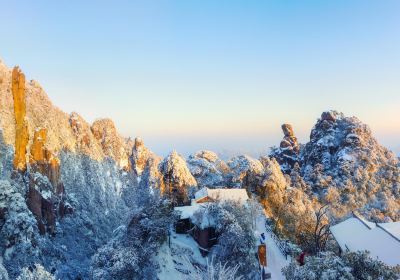 巨蟒出山