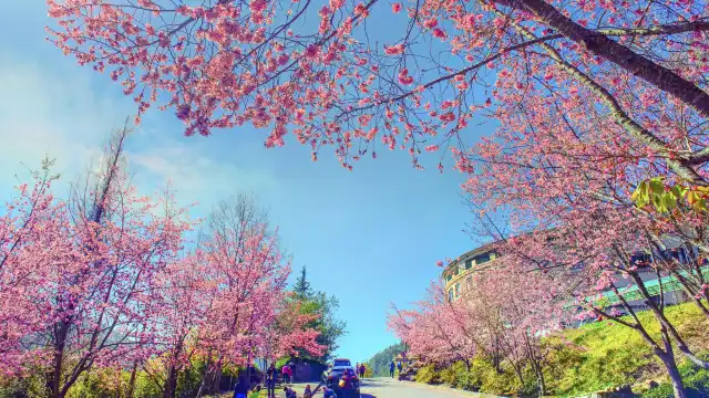 Hoteles cerca de Wuling Farm