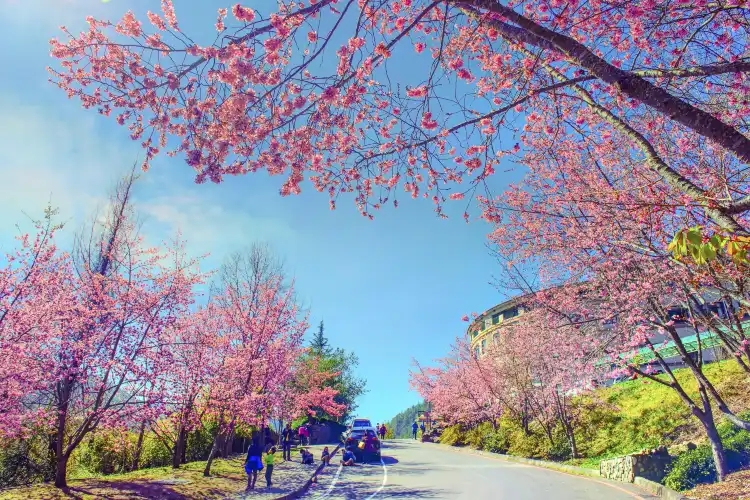 Hotels near Wuling Farm
