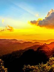 Parc national Nyungwe