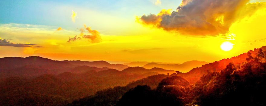 foresta di Nyungwe