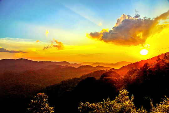 Nyungwe National Park