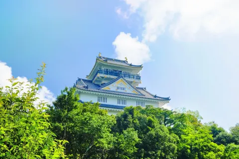 Castello di Gifu