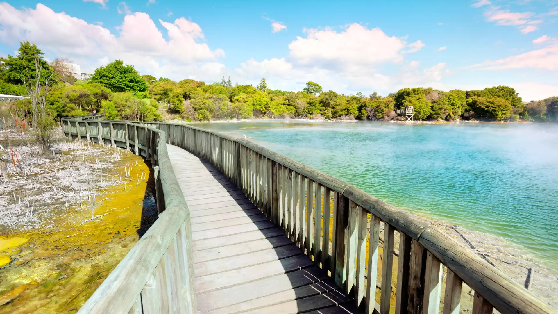 Hotels near Kuirau Park