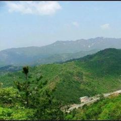 TAO HUA CHONG SEN LIN GONG YUAN HUA CHENG NONG GU 여행 사진