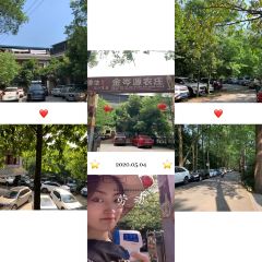 JIN CEN YUAN NONG ZHUANG User Photo