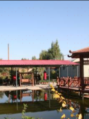 Hutubixian Xiyu Chuntian Shengtai Tianyuan Resort