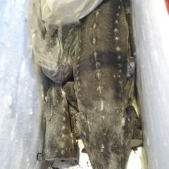 木火铁锅炖(彬州市店) User Photo