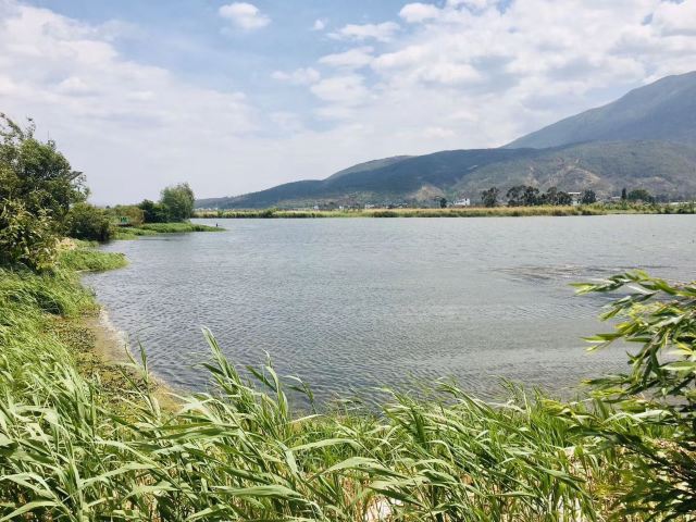 Dali West Lake