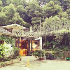 杭州如野民宿(西湖风景区太子湾公园店)·如野·玻璃房子·山野食记(西湖龙井虎跑店) User Photo