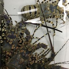 Crab Samui ảnh của người dùng