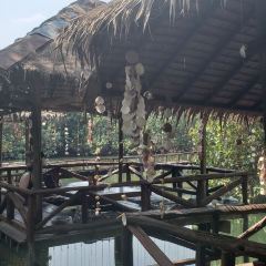 Blue Lagoon Restaurant User Photo