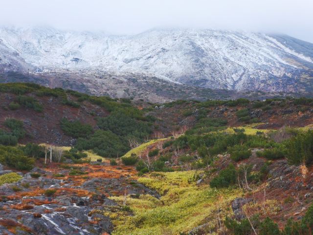 Tokachidake Bougakudai