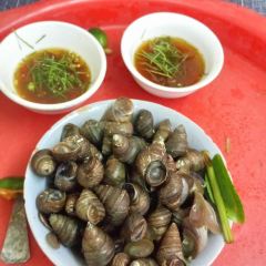 Oc Nong Ha Trang User Photo