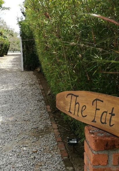 The Fat Frog