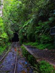 Old Helensburgh Station and Tunnel