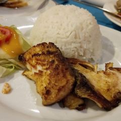 Molmol Cafe User Photo