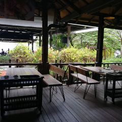 Sabienglae lamai User Photo