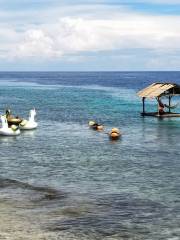 Sea Shell Museum and Souvenir Shop