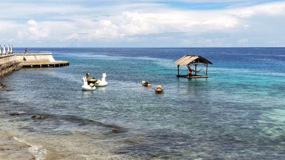 Sea Shell Museum and Souvenir Shop