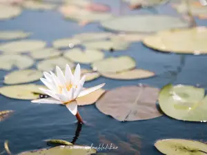 모콜로디 자연보호지역