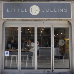 Little Collins User Photo